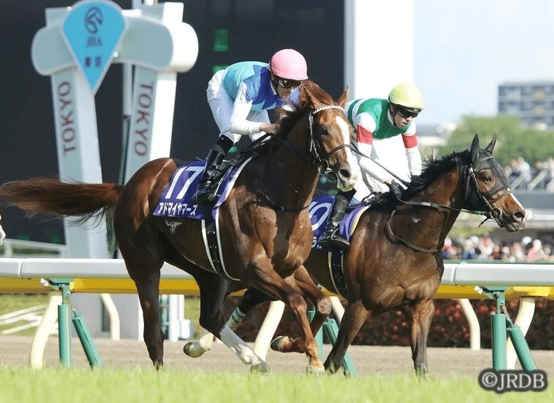 22ｎｈｋマイルカップ 過去5年傾向 外厩 指数 パドック Jrdb 競馬アラカルト Note