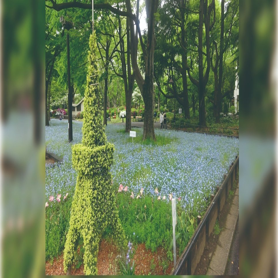 フェイクニュース対策としてのメディアリテラシーの有効性と限界を考える｜調査情報デジタル