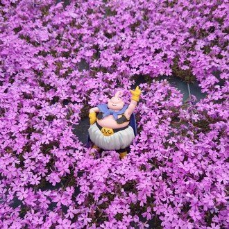 お知らせ💓