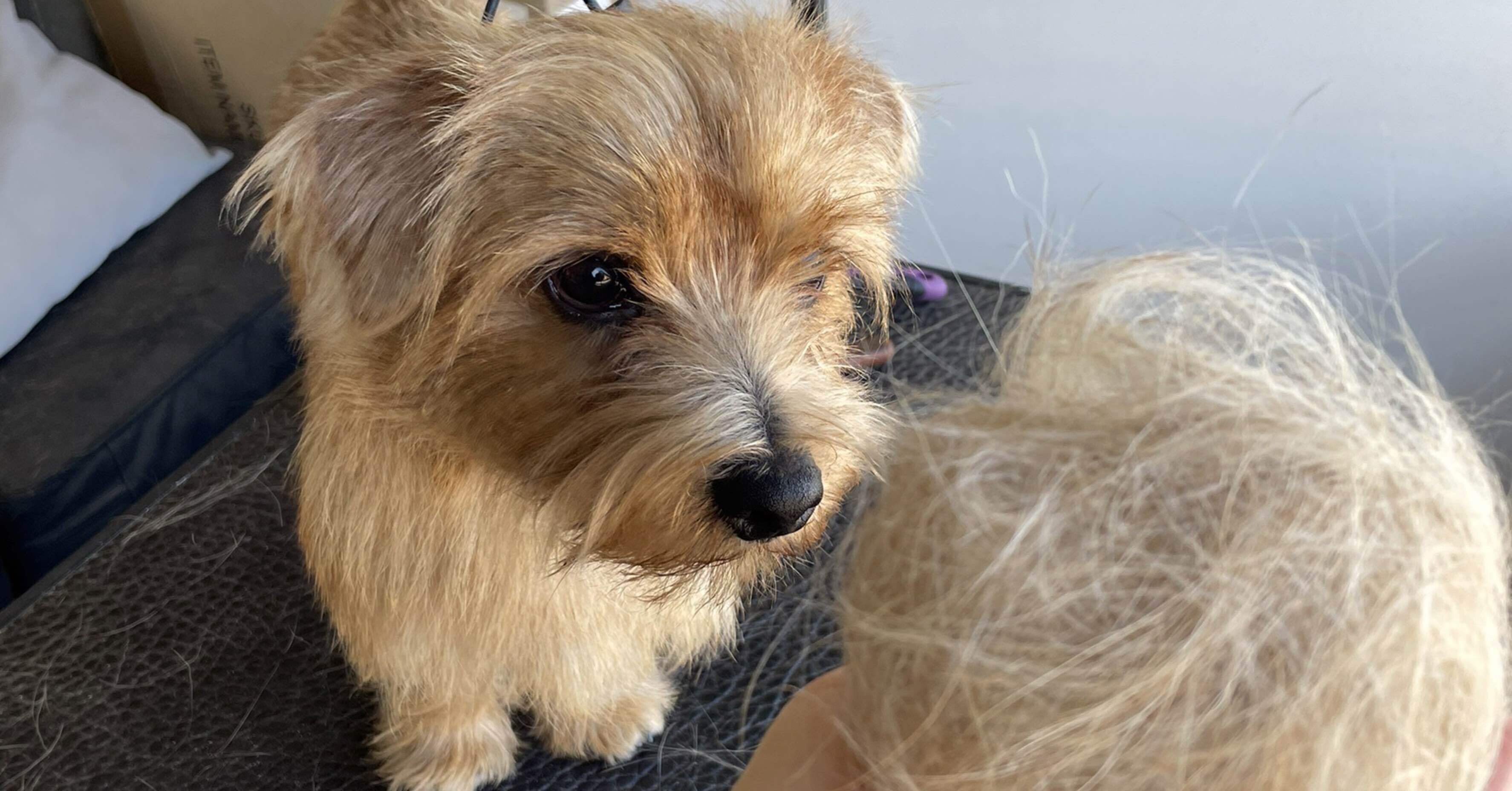 4月 柴崎 岳 Note 4月 柴崎 岳 Note