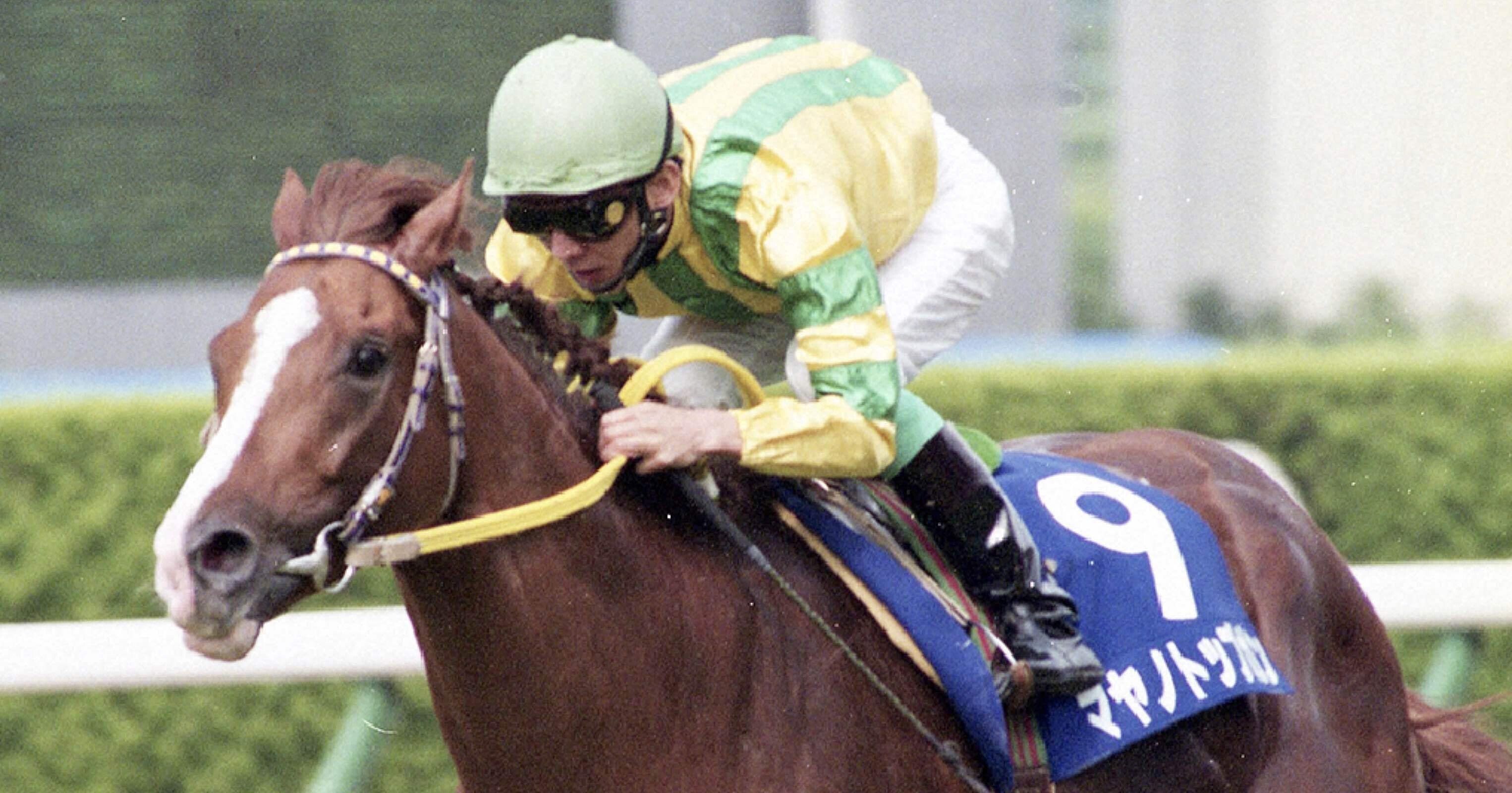 競馬 マヤノトップガン 田原成貴 直筆サイン入り 色紙 トレーティング おまけ付 競馬 マヤノトップガン 田原成貴 直筆サイン入り 色紙 ト