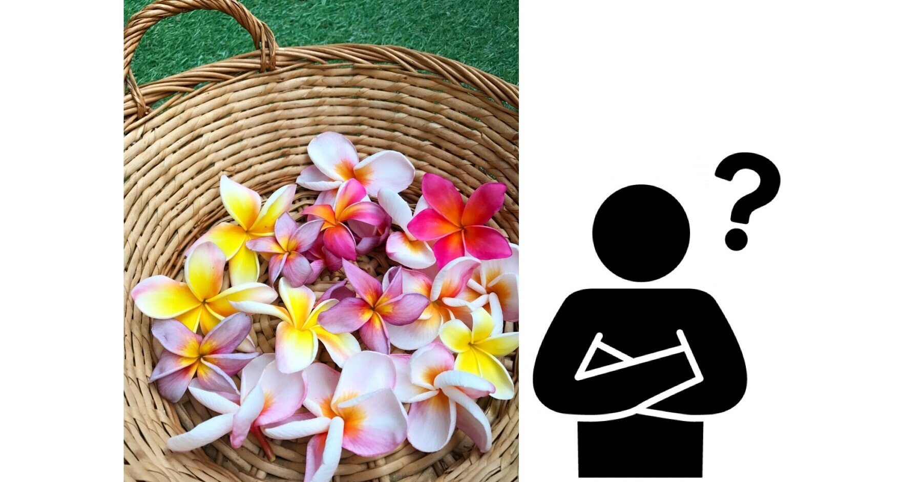 プルメリアは放置気味プレイがお好き Hoppie Note プルメリアは放置気味プレイがお好き Hoppie Note