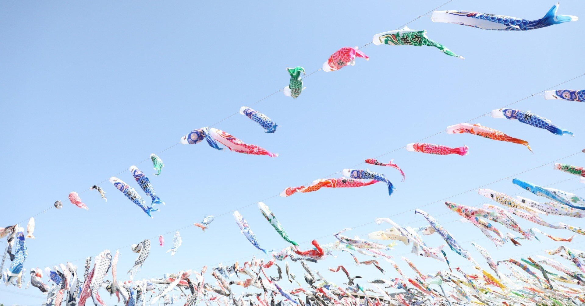 昨日は高槻市でこいのぼりフェスタ１０００撮影後 長岡京市長法寺 乙訓寺を訪問しました 今日の画像はこいのぼりフェスタ １０００です 近い駐車場は全て満車少し離れた場所からタクシーで向かいました 迫力があり Sutitti Note