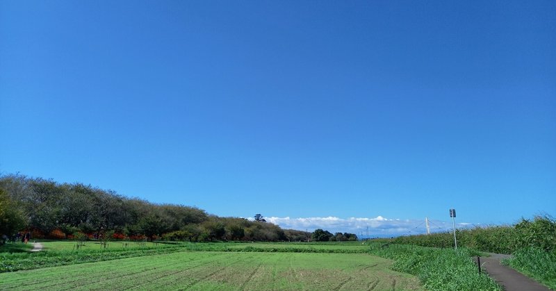 【水星の双子座♊移動】ビジネスが新しい段階へと突入していく✨4月30日～7月5日✨【おうし座♉オンリー天体メッセージ占い】