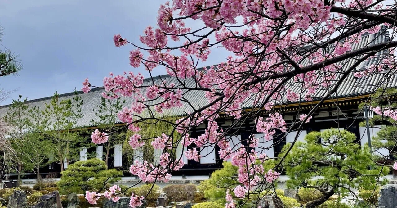 京都の休日 #33 〜雨の日の三十三間堂、新しくなった庭園もエレガント