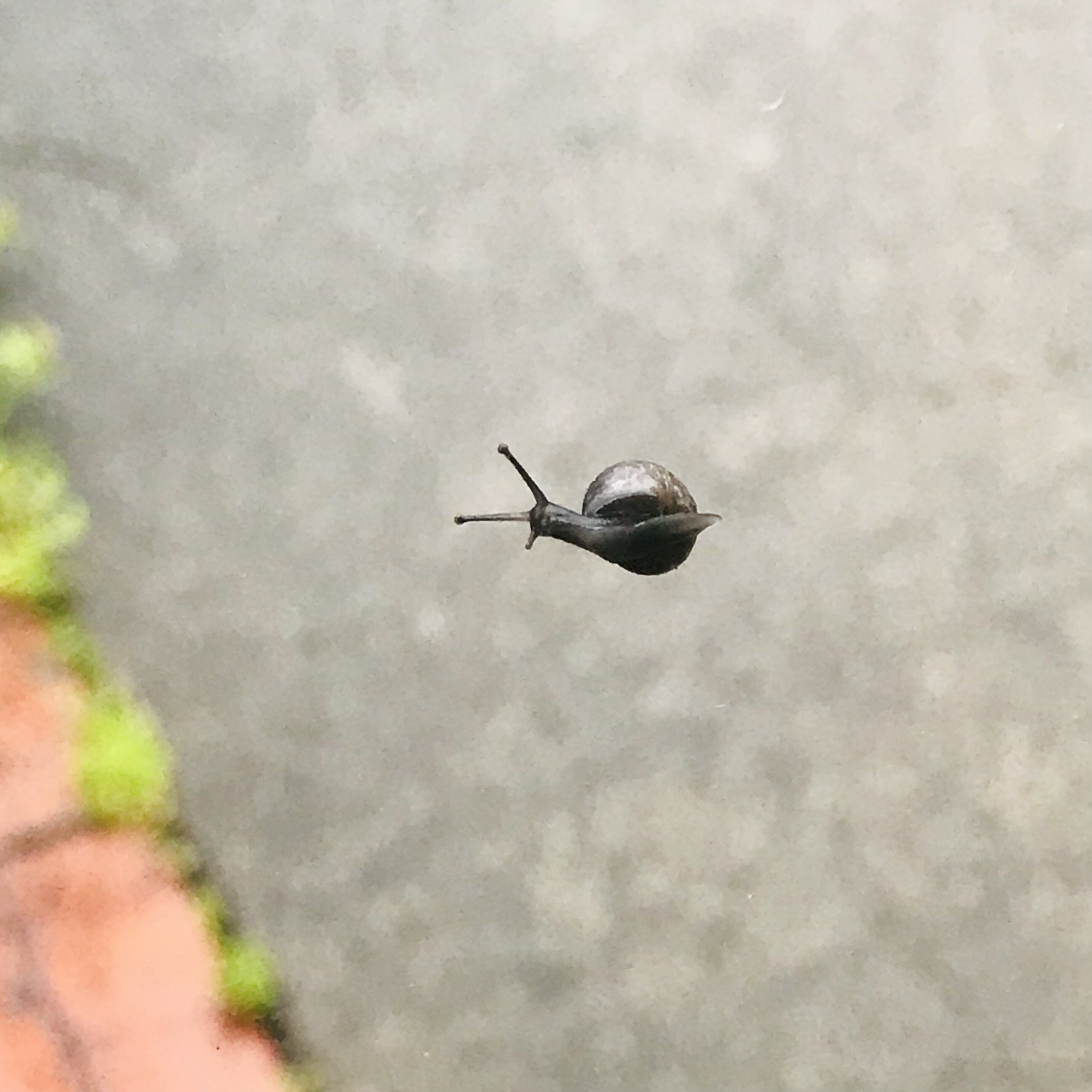 空を飛んでるみたい の新着タグ記事一覧 Note つくる つながる とどける 空を飛んでるみたい の新着タグ記事一覧 Note つくる つながる とどける