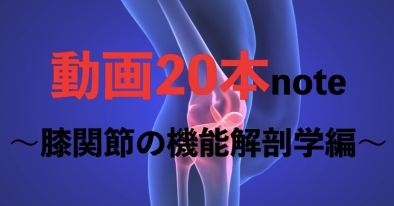 動画本note 膝関節の機能解剖学編 薬師寺 偲 Shinobu Yakushiji Note