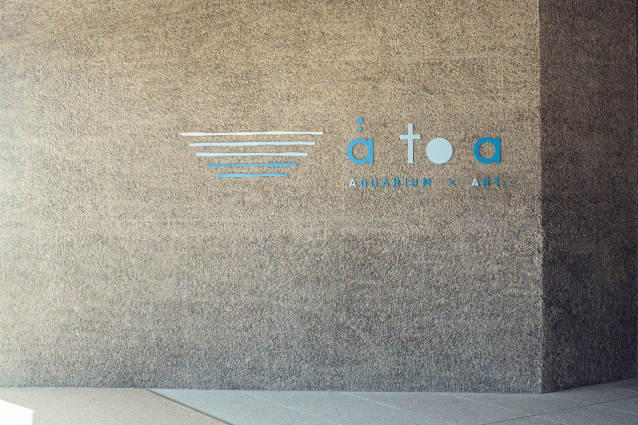 503 兵庫 アクアリウム アート新感覚の劇場型水族館 Atoa 旅するフォトマガジン Mとw Note 503 兵庫 アクアリウム アート新感覚の劇場型水族館 Atoa 旅するフォトマガジン Mとw Note