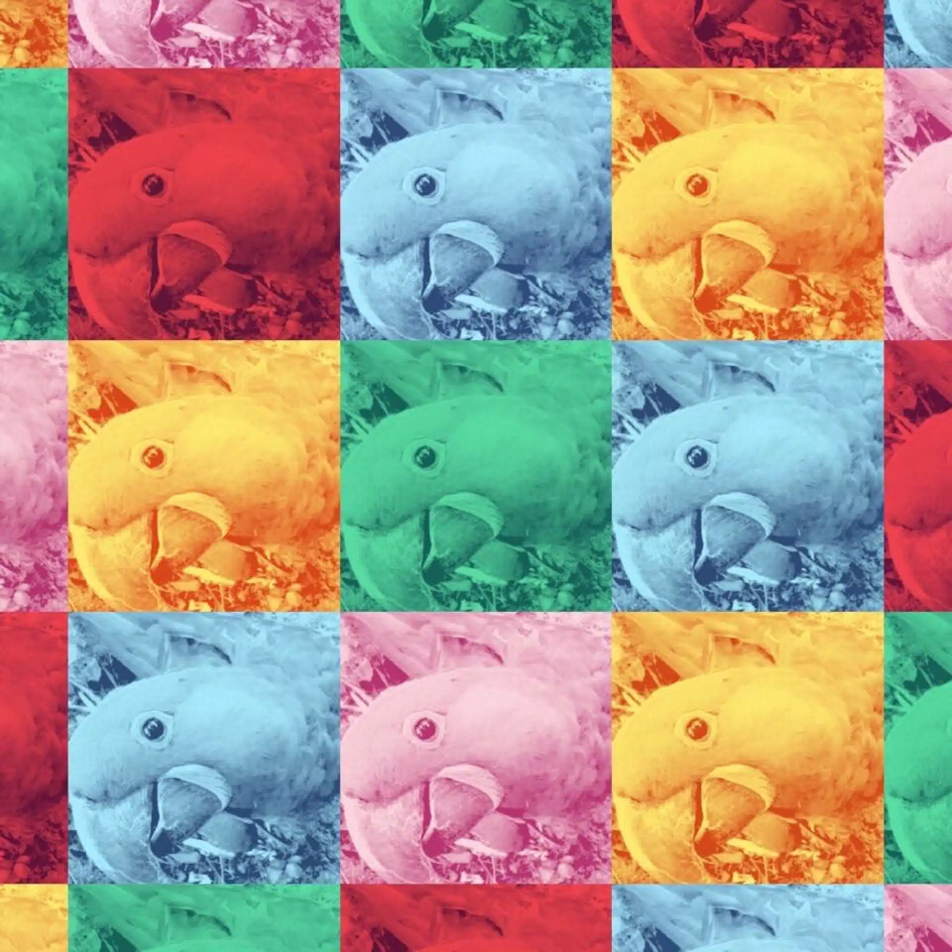 せきじゅん