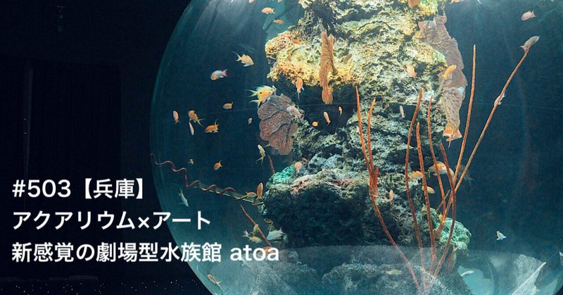 #503【兵庫】アクアリウム×アート新感覚の劇場型水族館 atoa
