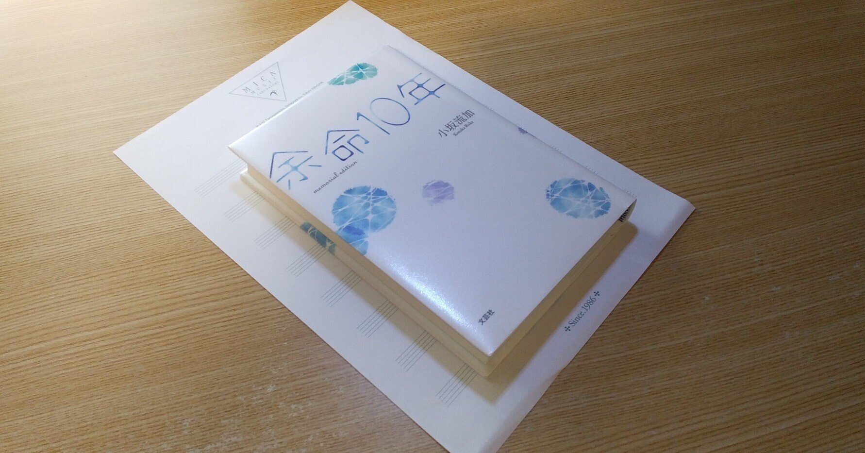 小説 余命10年 ひとりぽっち から感じること 脳人 Note 小説 余命10年 ひとりぽっち から感じること 脳人 Note