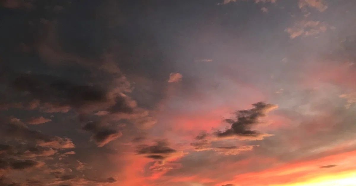 空と生きている