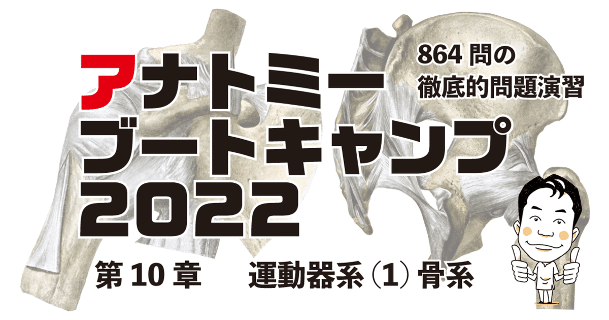 関節の構造と機能 アナトミーブートキャンプ2022 第10章 運動器系（1）骨系｜かず