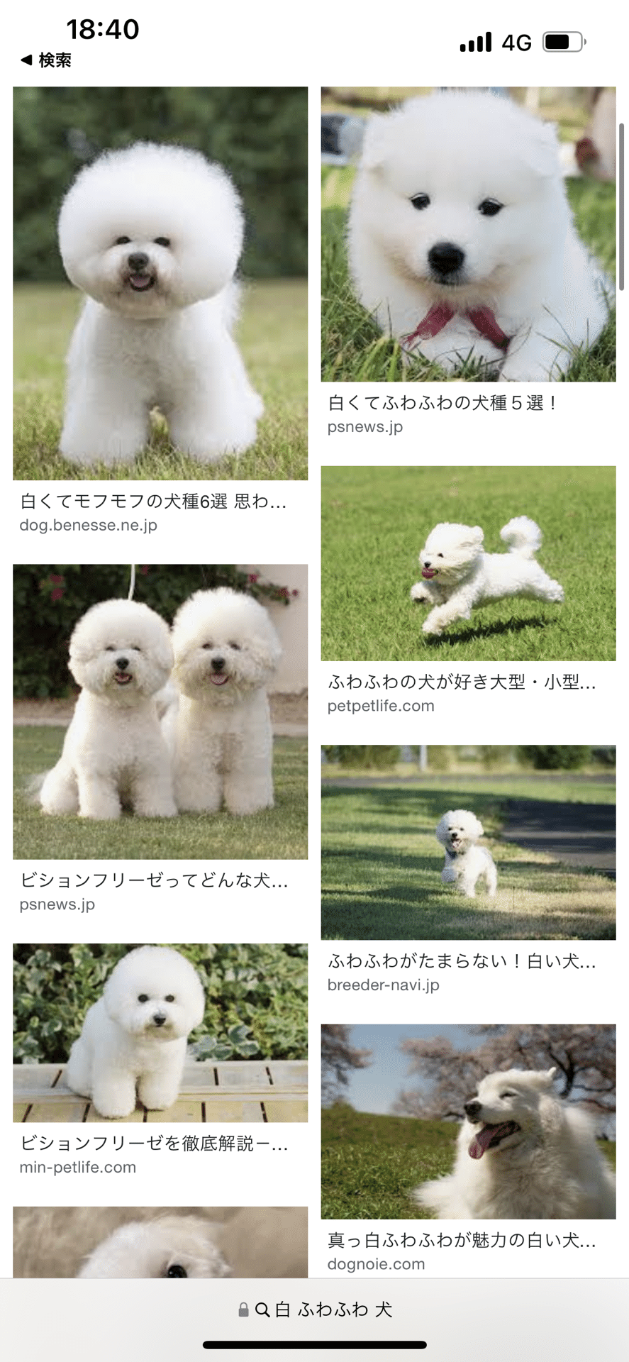 犬を飼いたい この一言から始まった仁義なき戦い 大塚澪の マル秘日記 Note 犬を飼いたい この一言から始まった仁義なき戦い 大塚澪の マル秘日記 Note