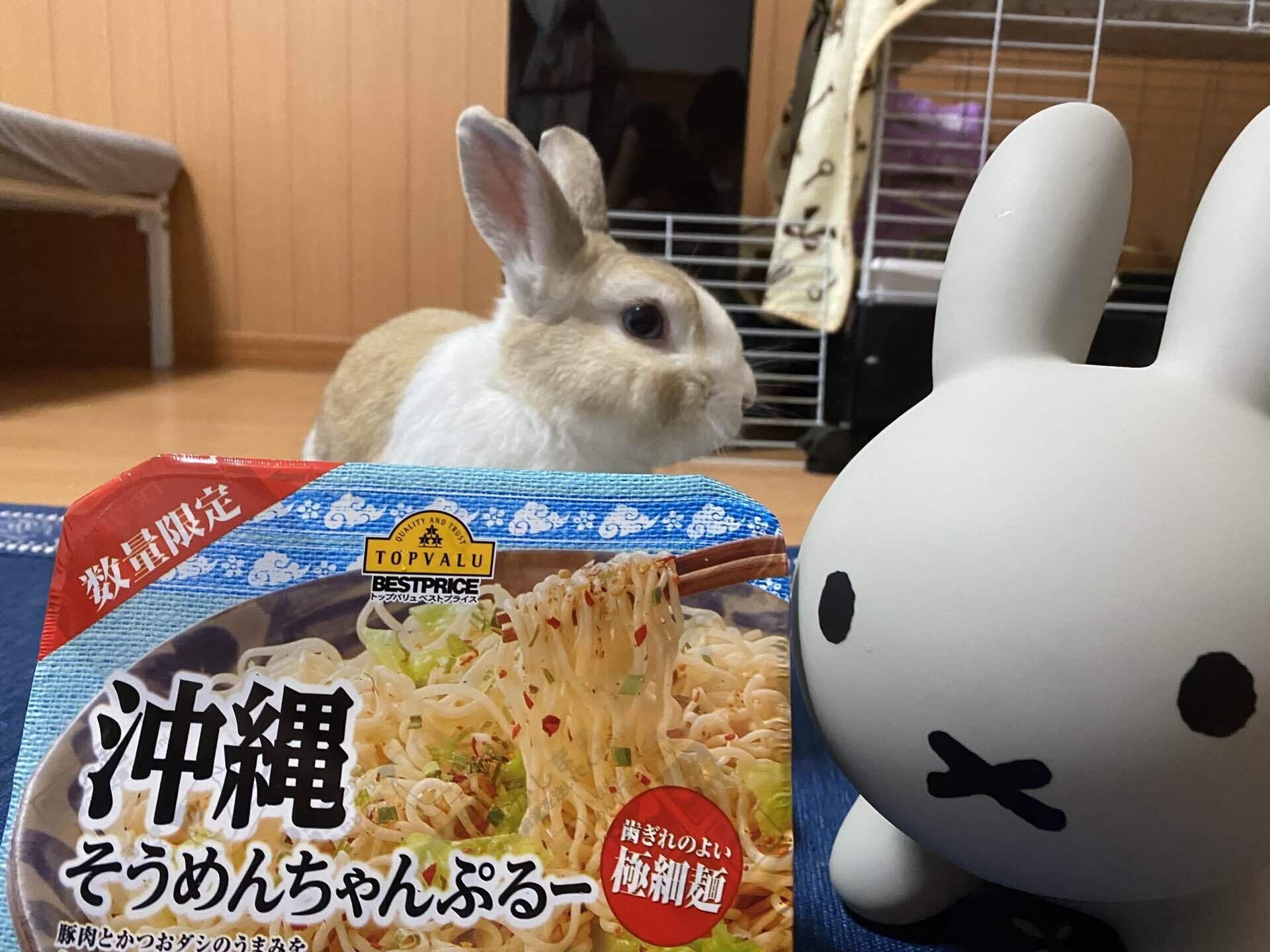 明日のお昼ご飯 の新着タグ記事一覧 Note つくる つながる とどける