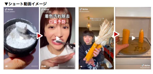 [Starting TikTok Now] Let's Grasp Reproducibility Together! A Summary ...