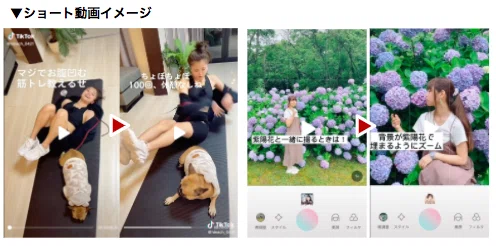 [Starting TikTok Now] Let's Grasp Reproducibility Together! A Summary ...