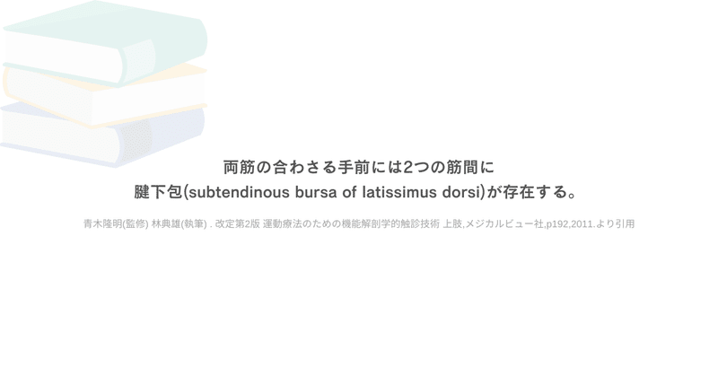 画像11