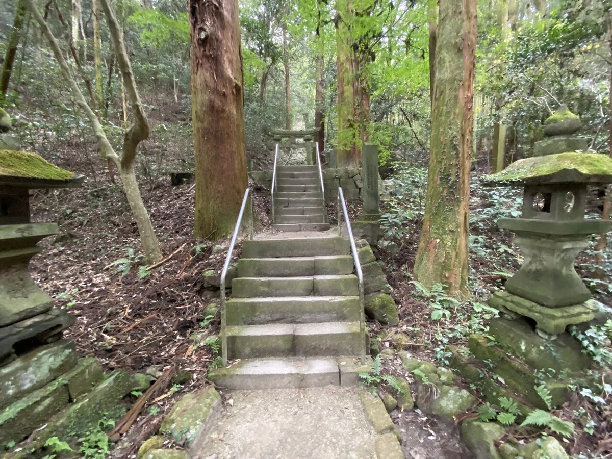 画像8