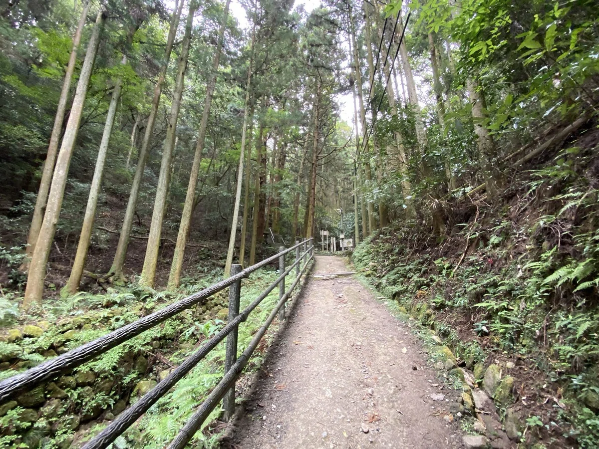 画像10