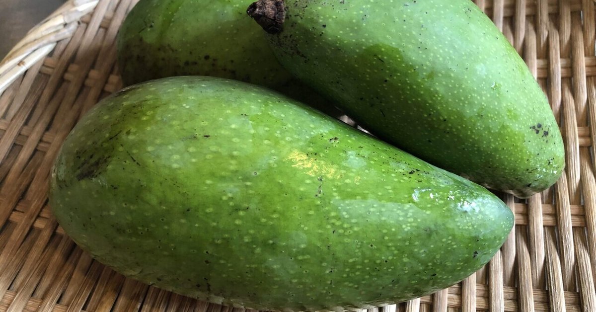 青マンゴーが出始めた｜さち 