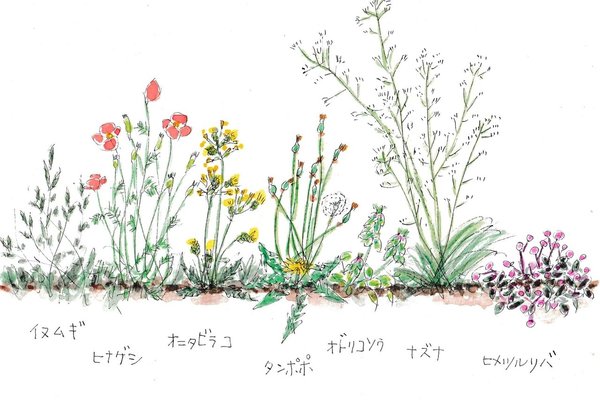 野の花野の草イラスト の新着タグ記事一覧 Note つくる つながる とどける 野の花野の草イラスト の新着タグ記事一覧 Note つくる つながる とどける