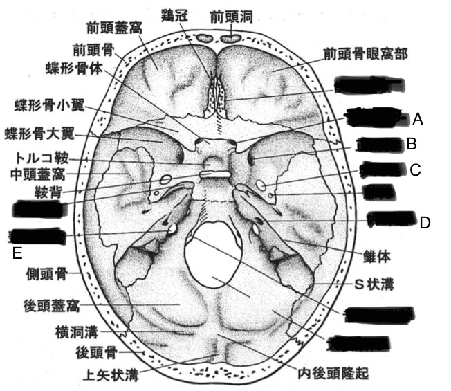 骨編 頭部 にしかわ Note