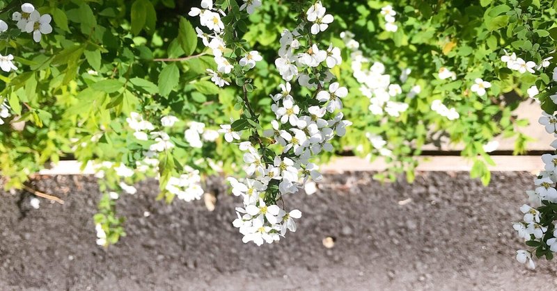 独身独歩、某日日/村田の写日記✍🏻