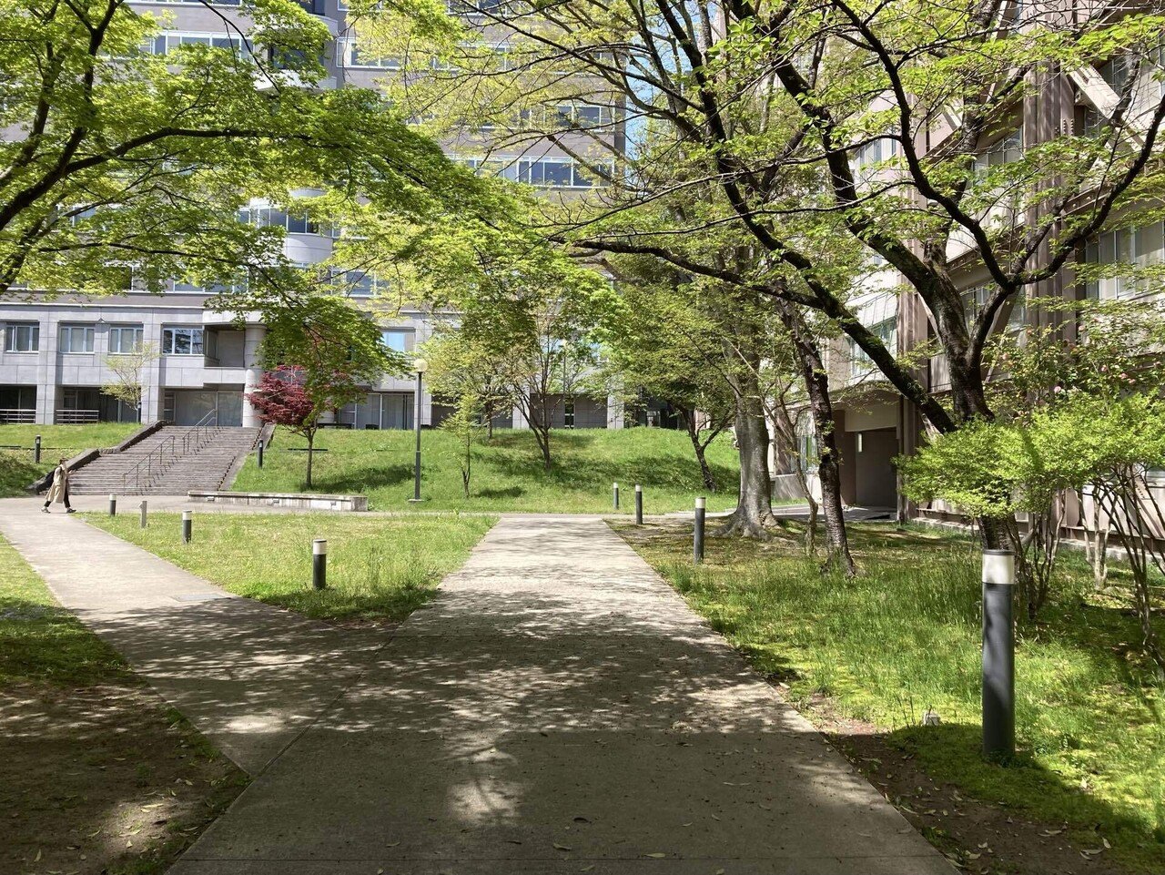学生目線から】なぜ「東北大学 東洋・日本美術史研究室」で学ぶ