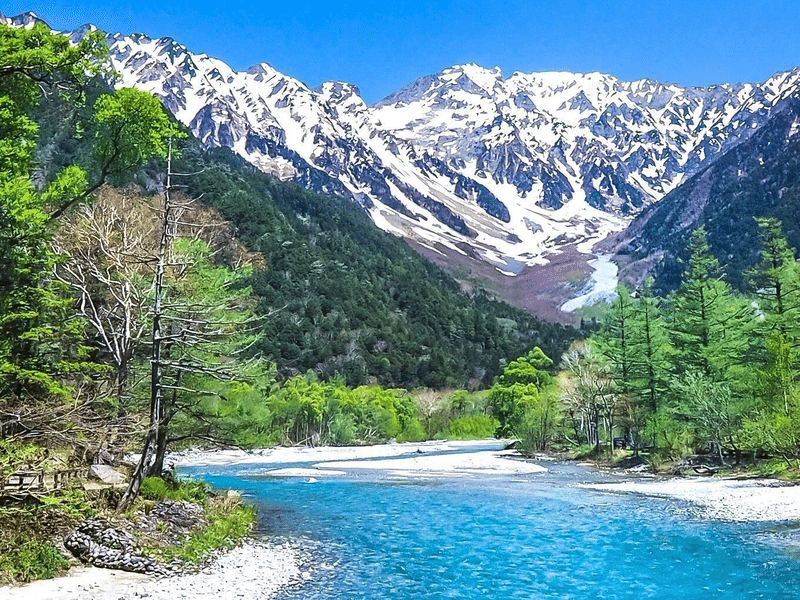 長野の上高地*大型油絵* 【公式通販】