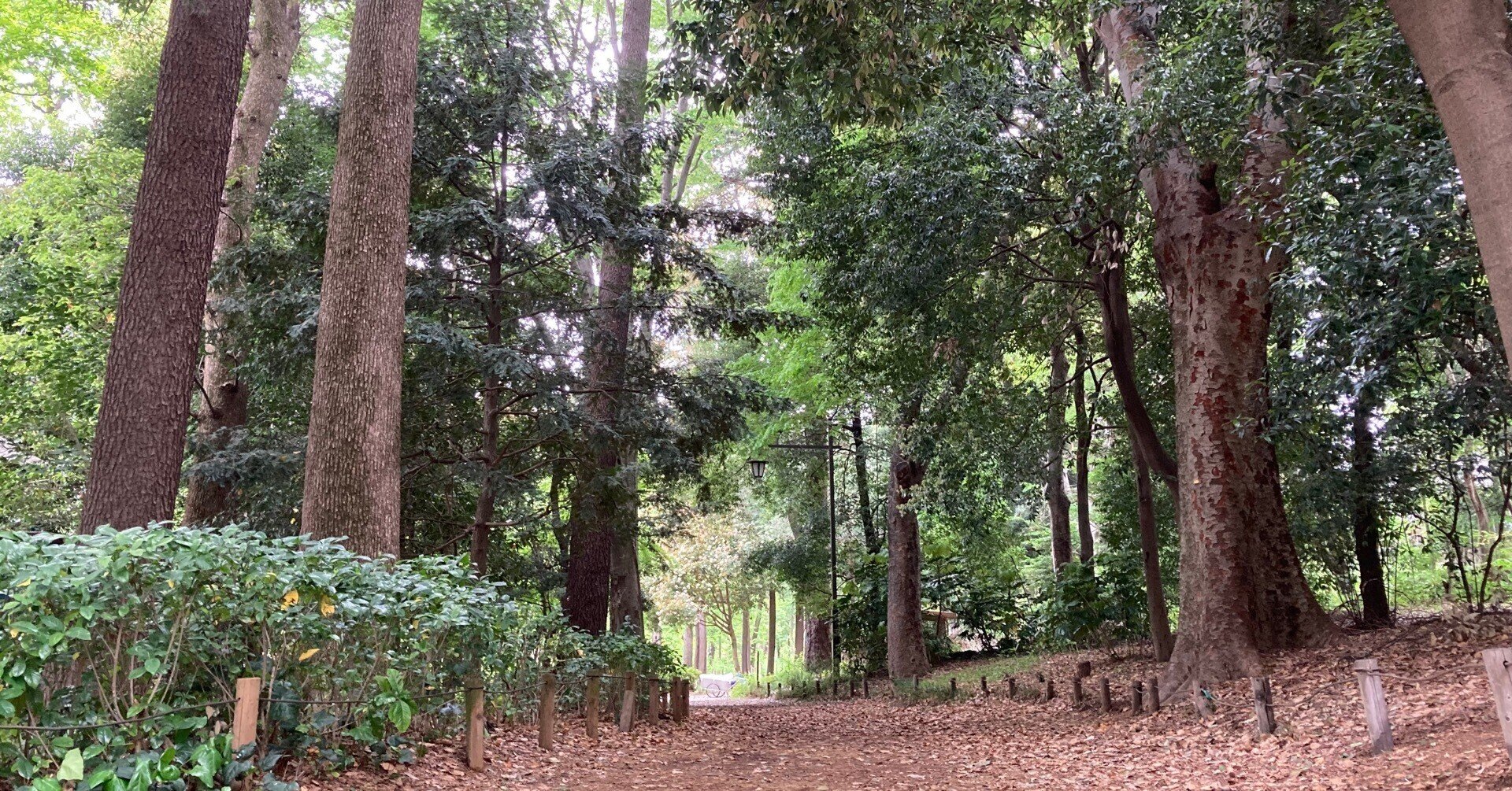 言葉にすることで意思が生まれ 行動が生まれ 結果を手に入れる コーチングの最大の効果は 自分 を表現する力がつくこと 4 4 齋藤綾治 りょうじ Gallup認定ストレングスコーチ Note 言葉にすることで意思が生まれ 行動が生まれ 結果を手に入れる コーチングの最大の効果は 自分 を表現する力がつくこと 4 4 齋藤綾治 りょうじ Gallup認定ストレングスコーチ Note