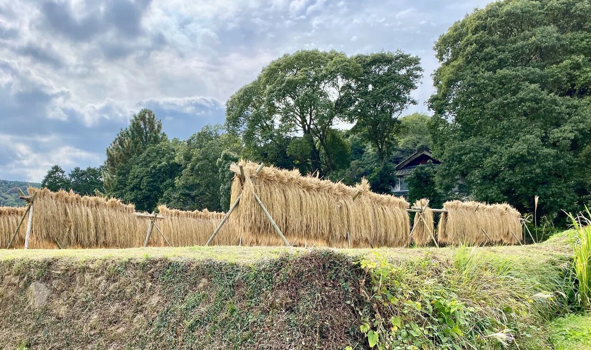 画像20