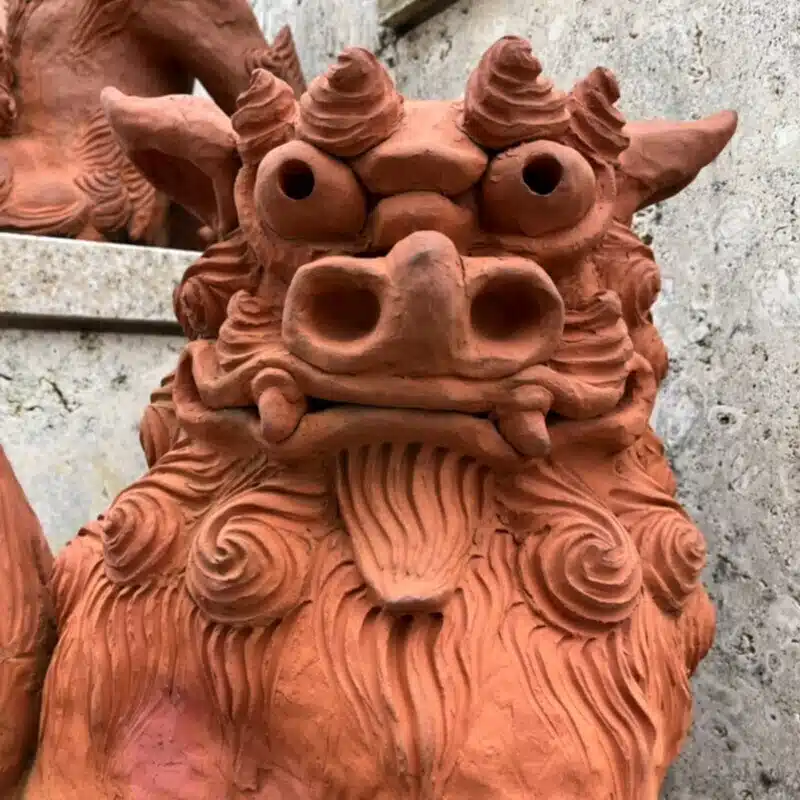 琉球薬草伝説