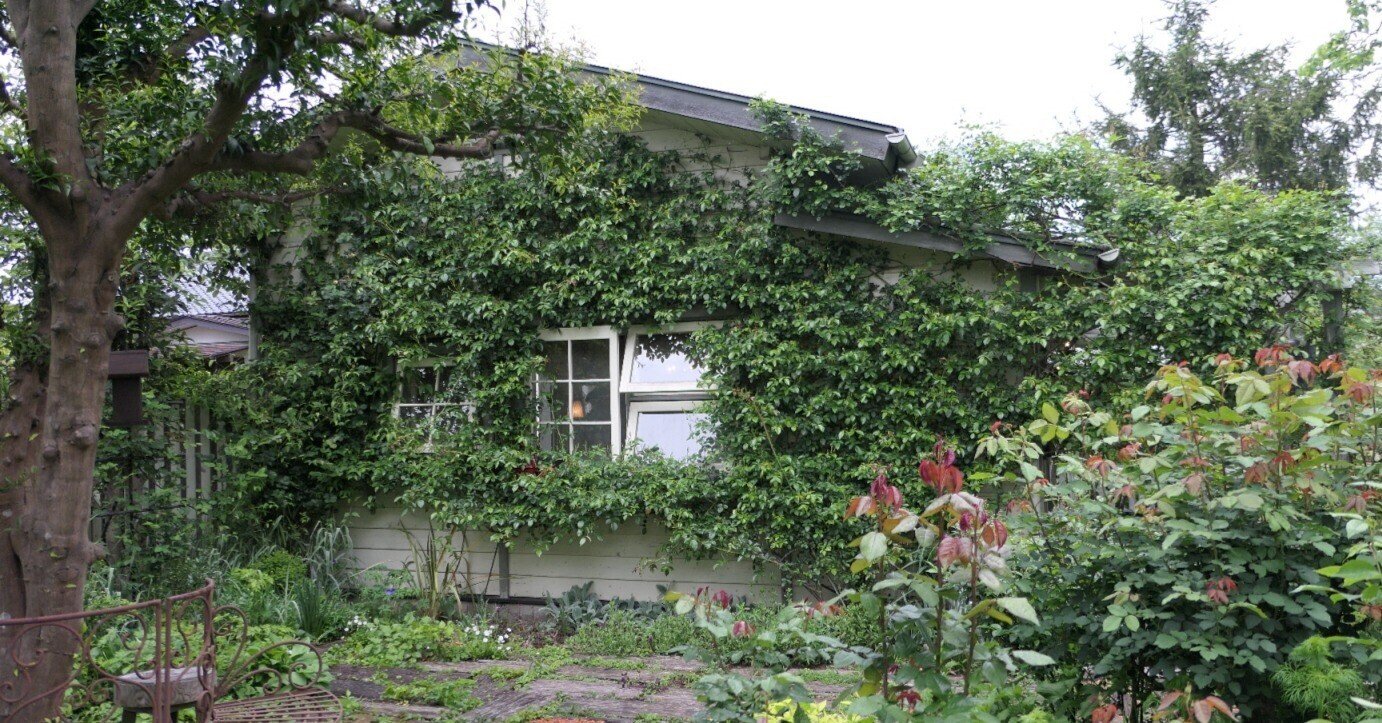 ガーデンカフェグリーンローズ 埼玉県入間郡毛呂山町平山 2022年5月2日 気楽な散歩 Note ガーデンカフェグリーンローズ 埼玉県入間郡毛呂山町平山 2022年5月2日 気楽な散歩 Note