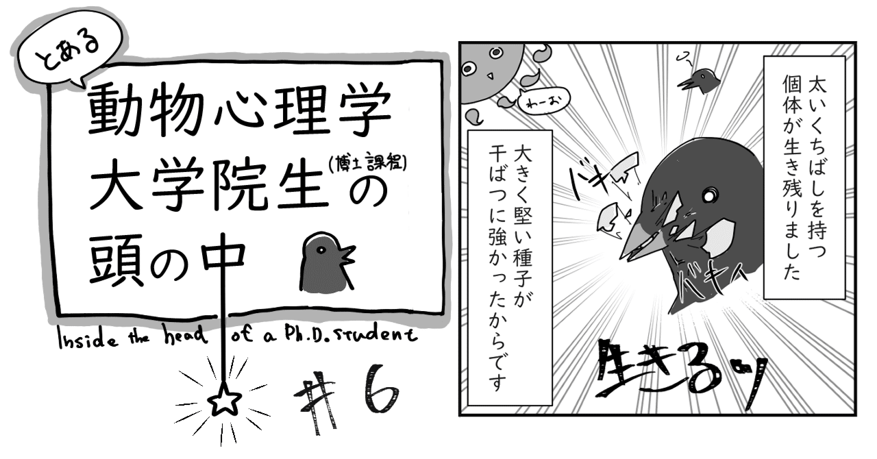 ココウモリ:44点を超えるロイヤリティフリーでライセンス可能なイラスト素材とスケッチ | Shutterstock, image size:1280x670