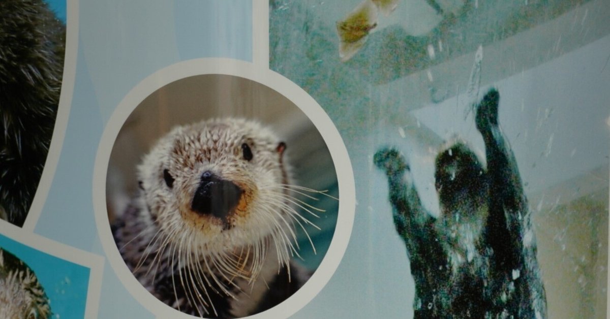 パラパラシネマ・水族館 1ラッコちゃん 2ネコとタコ 多田ヒロシ