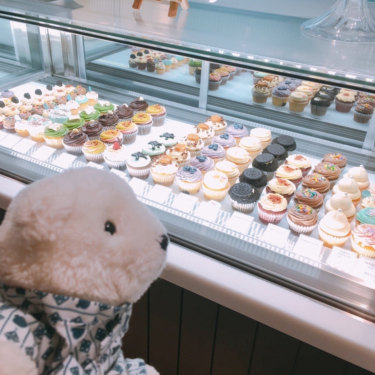 はなまめとおみやげ Lola S Cupcakesでカップケーキ編 18 09 はなまめとヨシコンヌ Note