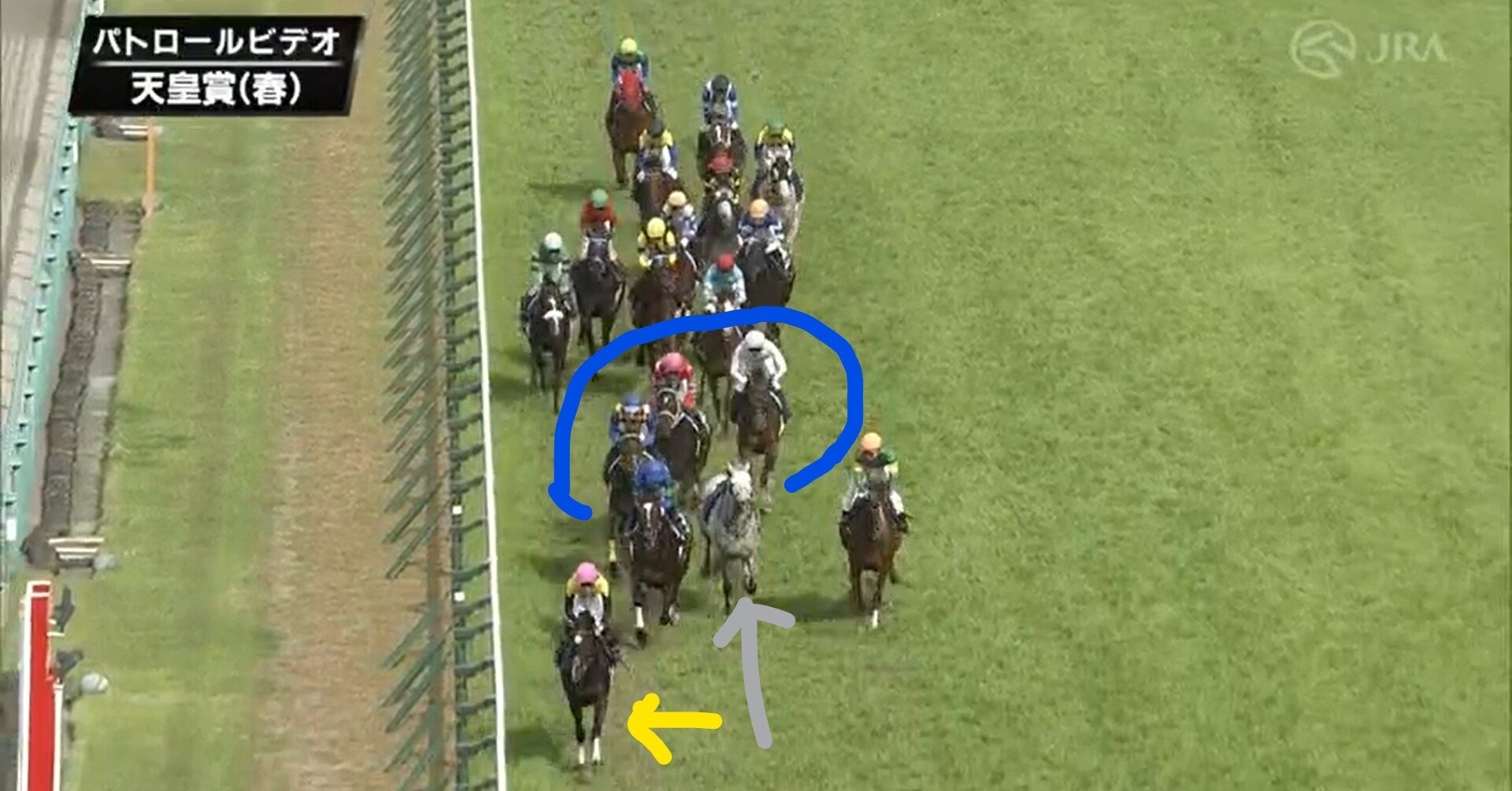 22年天皇賞春を振り返る～1頭の芦毛の落馬が変えた未来～｜金色の