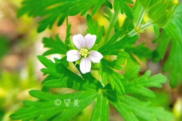 花言葉は変わらぬ信頼 の新着タグ記事一覧 Note つくる つながる とどける 花言葉は変わらぬ信頼 の新着タグ記事一覧 Note つくる つながる とどける