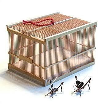 39歳父の竹修行奮闘記 第十九回 竹細工って 素朴な疑問に答えます 竹遊亭田楽 Note