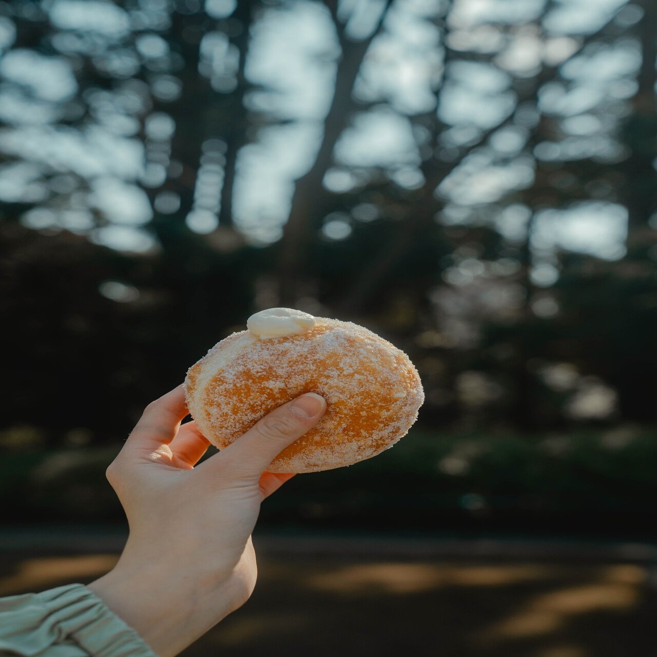 ボンボローニとは Park Side Donuts 相良 恭平 Note