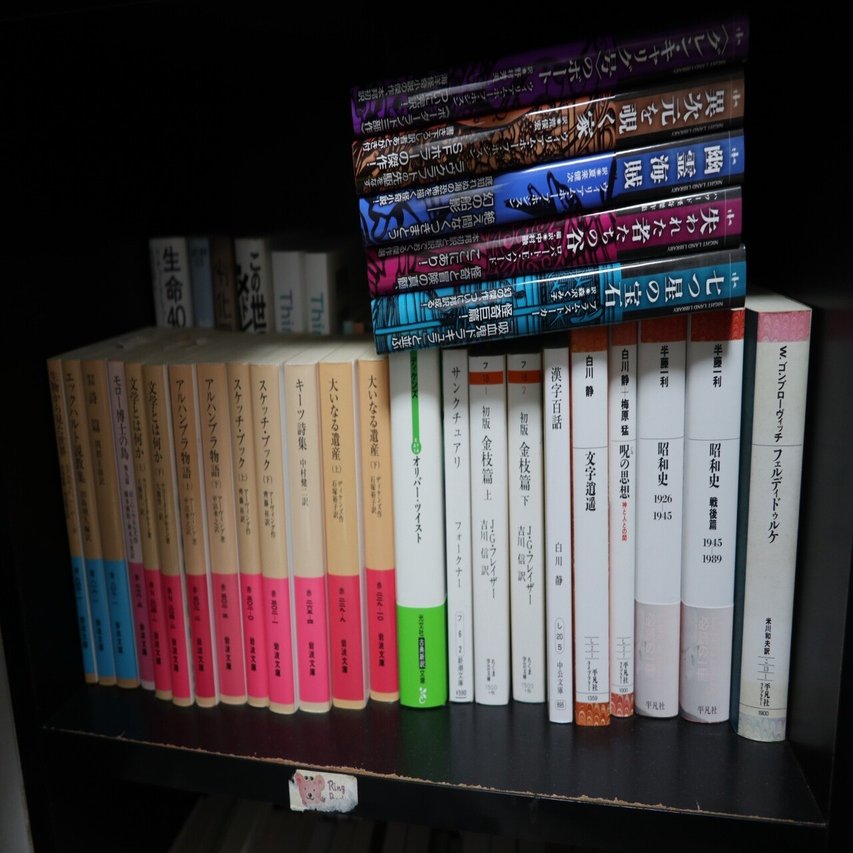 本棚晒す｜金井枢示 (ｶﾅｲｽｳｼﾞ)