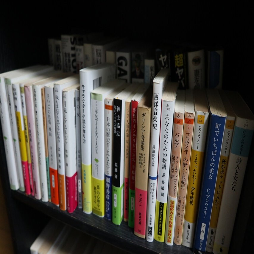 本棚晒す｜金井枢示 (ｶﾅｲｽｳｼﾞ)