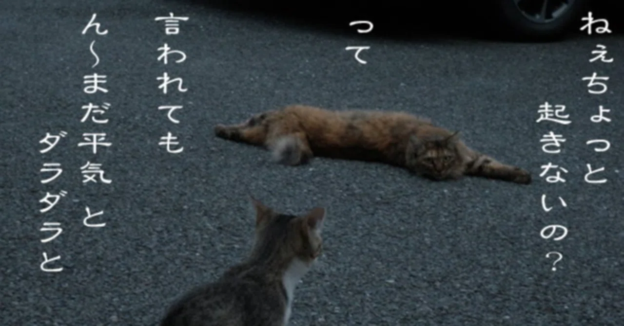 見出し画像