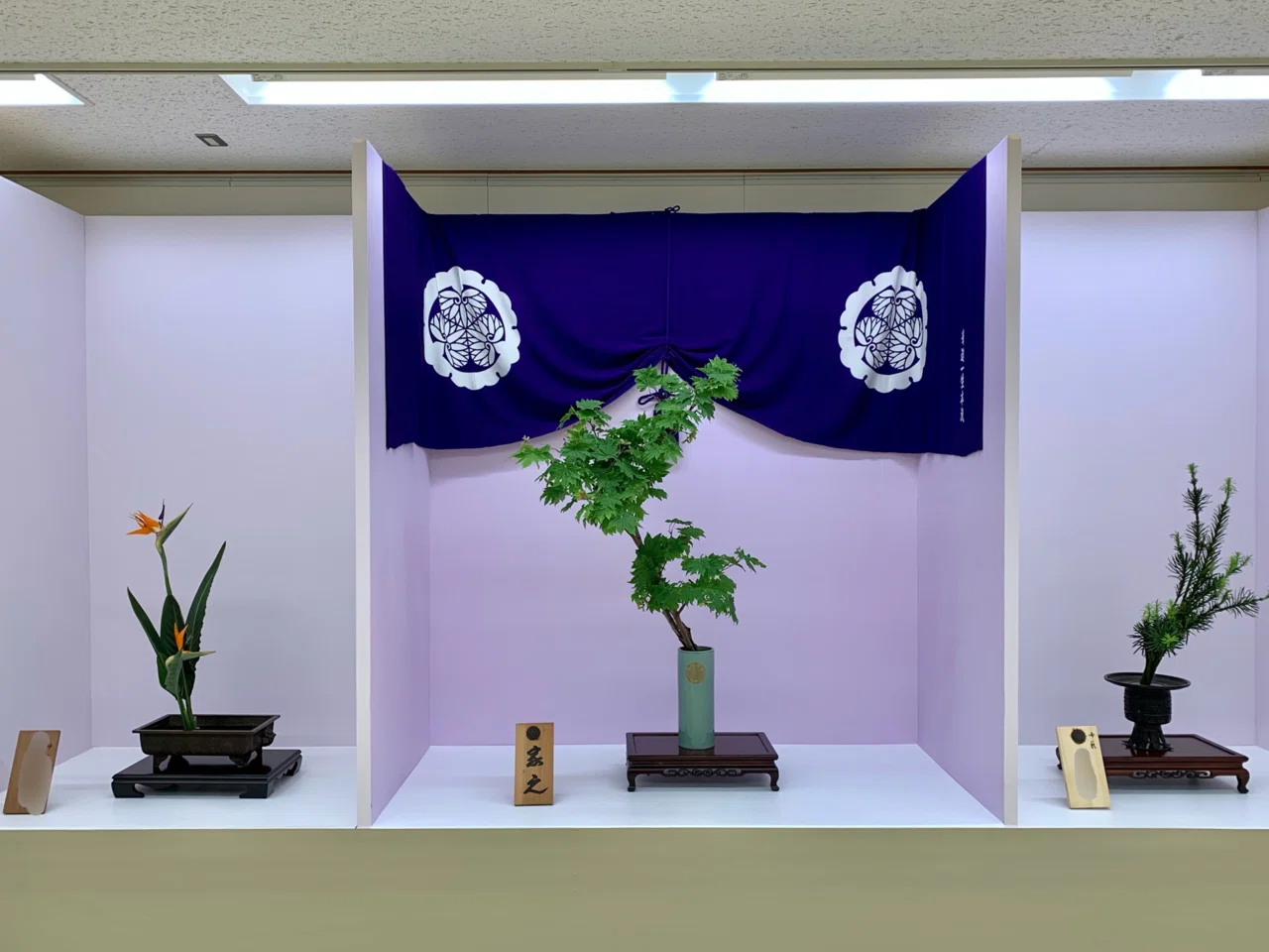 華道・いけばな 展示会への出展（①はじめに）｜Little＋