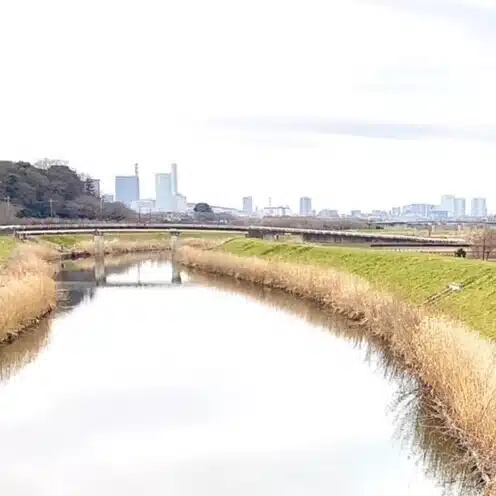 好音