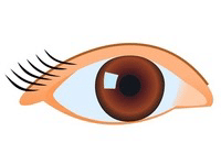 虫の目 鳥の目 魚の目 コウモリの目 が成功の鍵だ 平太 Note