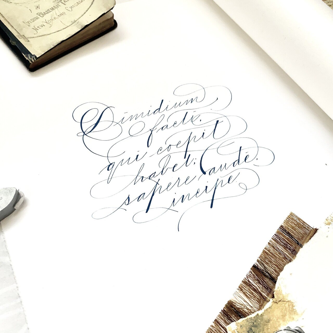 no.56インクより絵の具？|カリグラフィー入門｜はまね先生 カリ