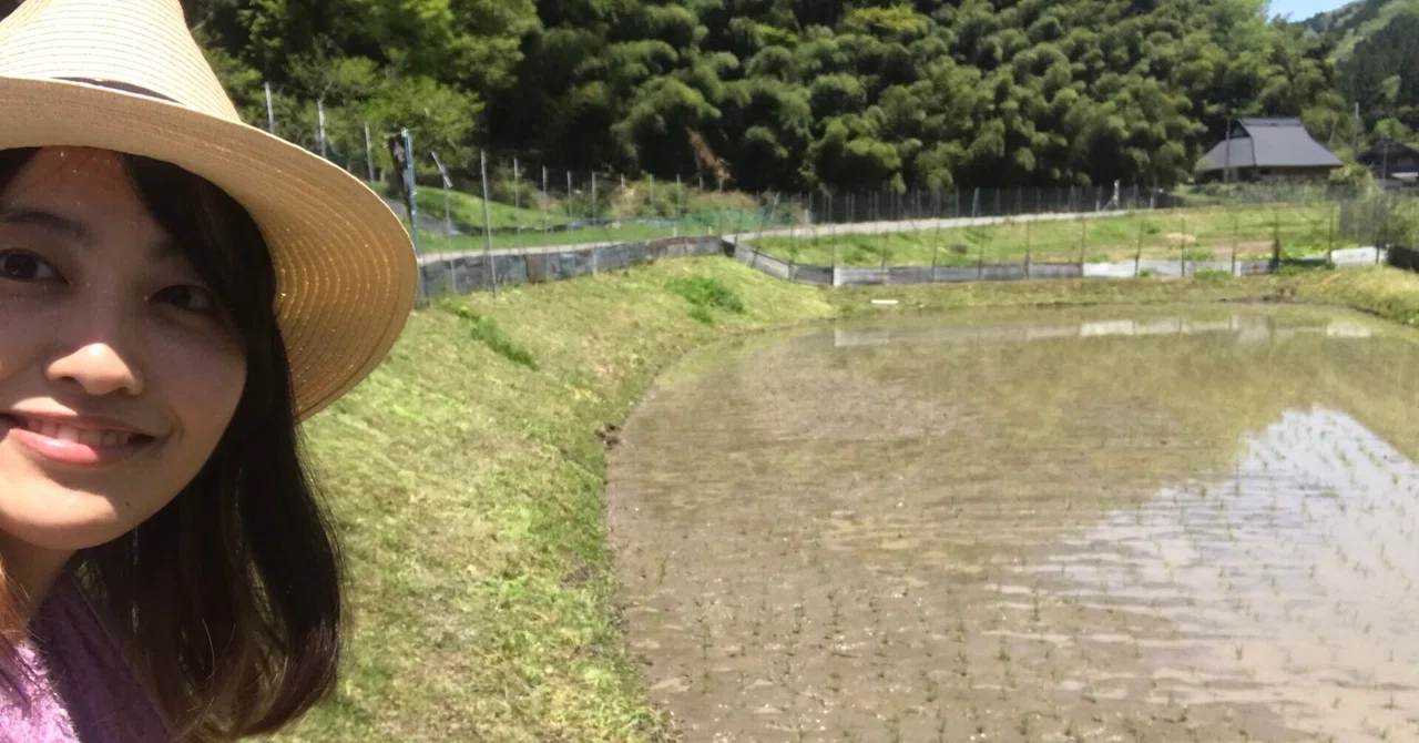 GW is for Rice Planting! - Rice Planting Experience with Tokubei Masuda ...