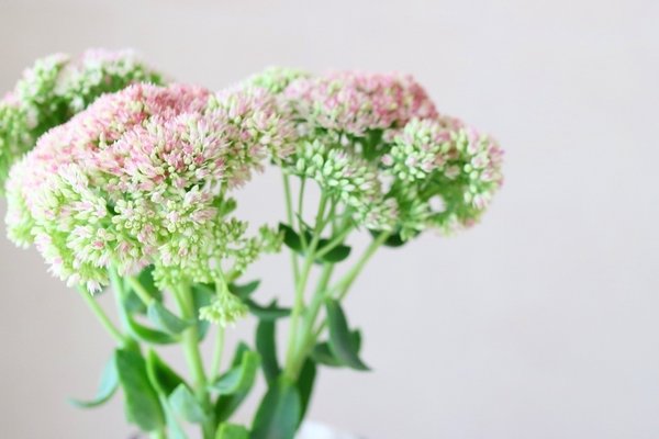 Ithinkofyou の新着タグ記事一覧 Note つくる つながる とどける Ithinkofyou の新着タグ記事一覧 Note つくる つながる とどける